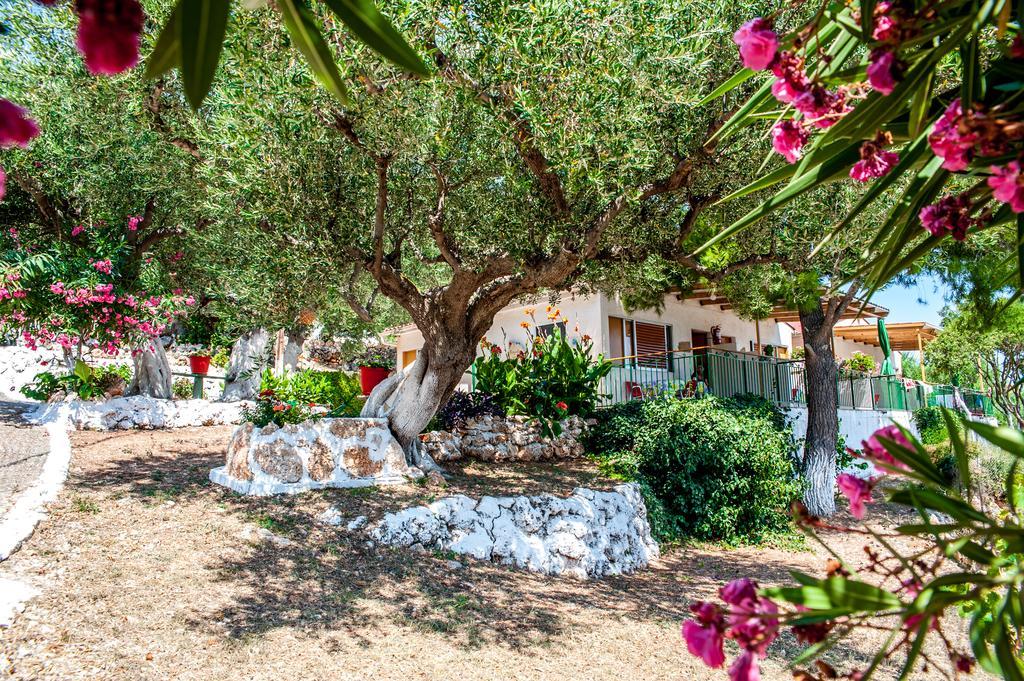 Zóla Rogakia Village Est. 1983 المظهر الخارجي الصورة