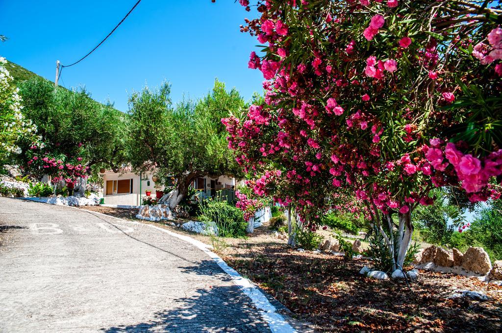 Zóla Rogakia Village Est. 1983 المظهر الخارجي الصورة